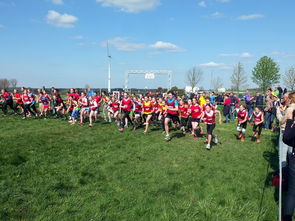 星空app官网下载-青少年体育社交平台互动行为研究，青少年体育文化