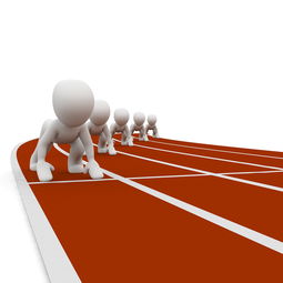 星空体育官网下载-体育新闻中心开展体育新闻职业技能提升培训,体育技能大赛新闻稿